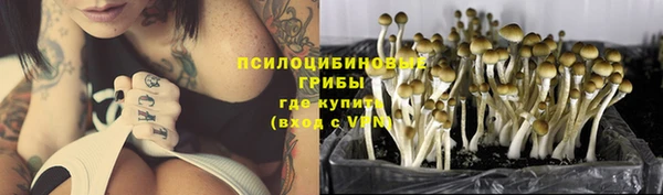 прущая мука Бронницы