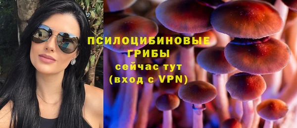 прущая мука Бронницы
