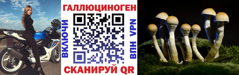Псилоцибиновые грибы ЛСД  Ростов 